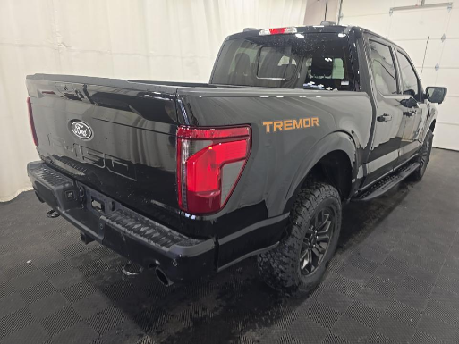 2025 Ford F-150 — side profile view
